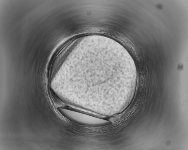 X0000097890792200804111017