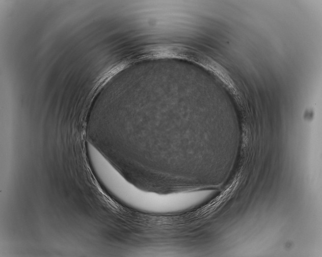 X0000097890793200804111017