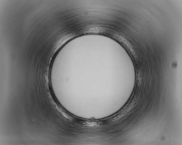 X0000097890794200804111017