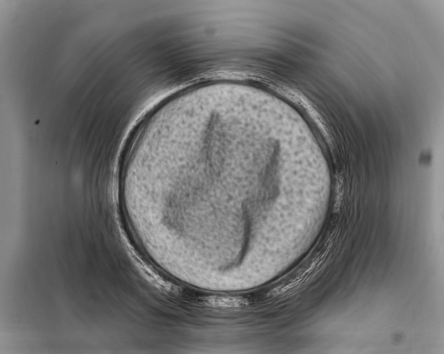 X0000097890795200804111017