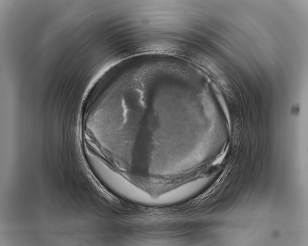 X0000097890796200804111017