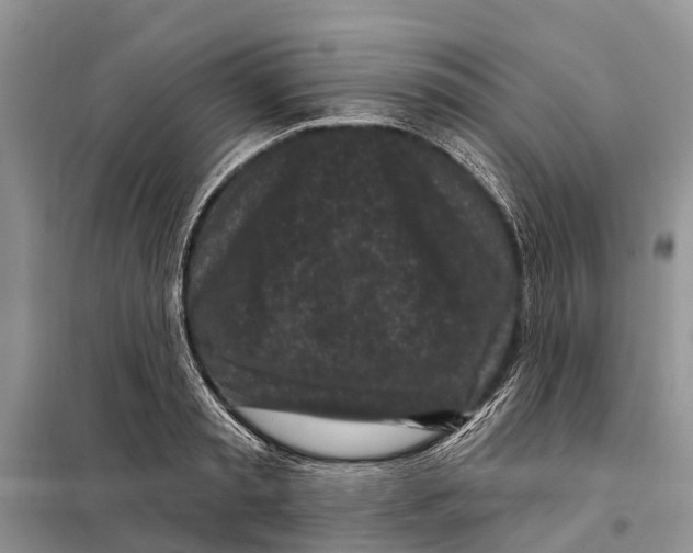 X0000097890797200804111017