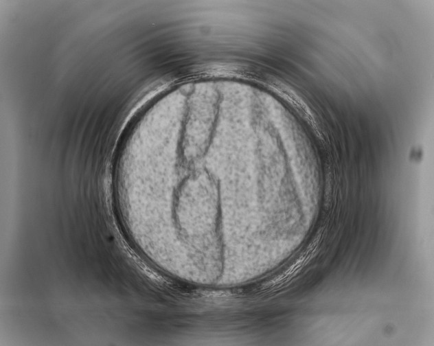 X0000097890798200804111017