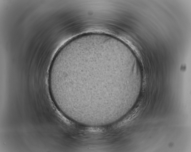 X0000097890799200804111017