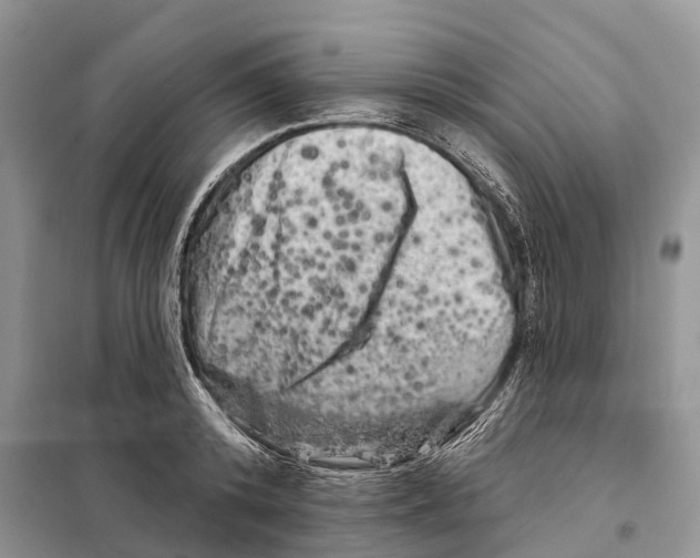 X0000097890800200804111017