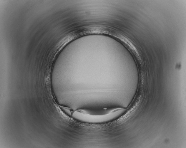 X0000097890801200804111017