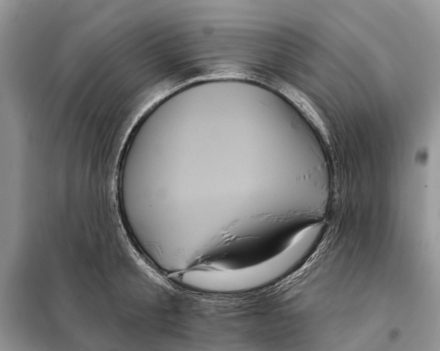 X0000097890805200804111017