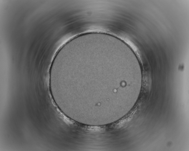 X0000097890807200804111017