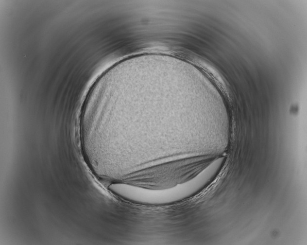 X0000097890808200804111017