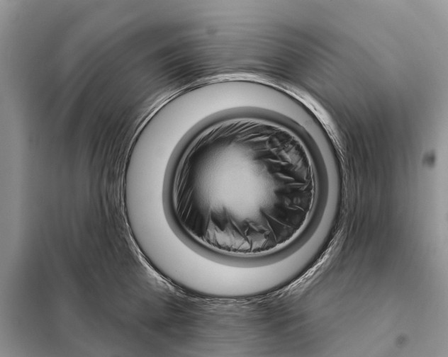 X0000097890809200804111017