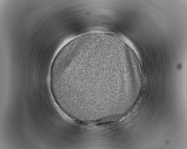 X0000097890811200804111017