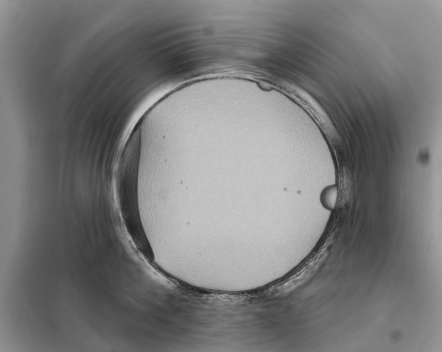 X0000097890812200804111017