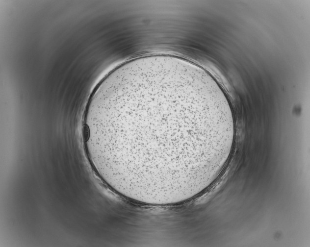 X0000097890814200804111017