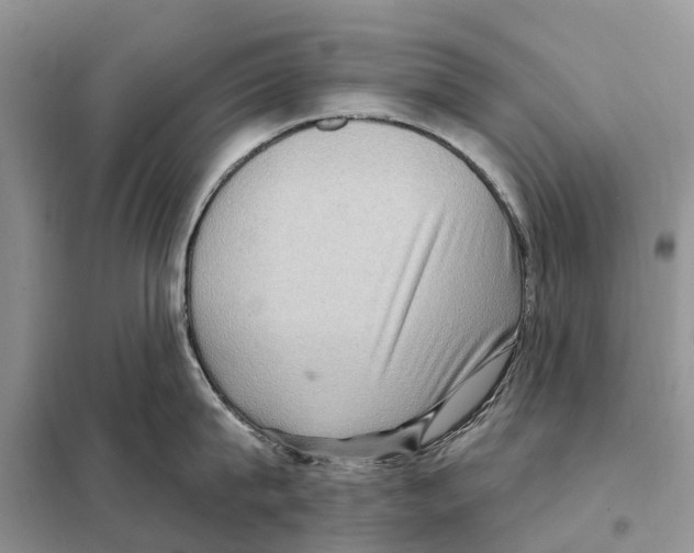 X0000097890815200804111017