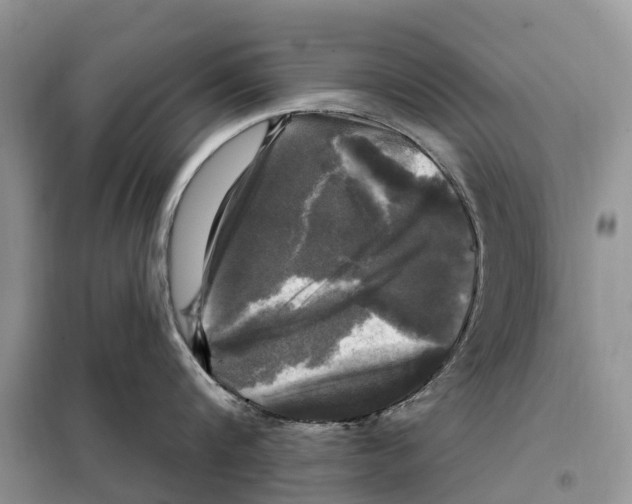 X0000097890816200804111017