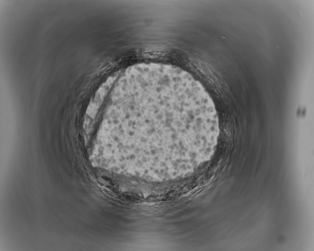 X0000097890817200804111016