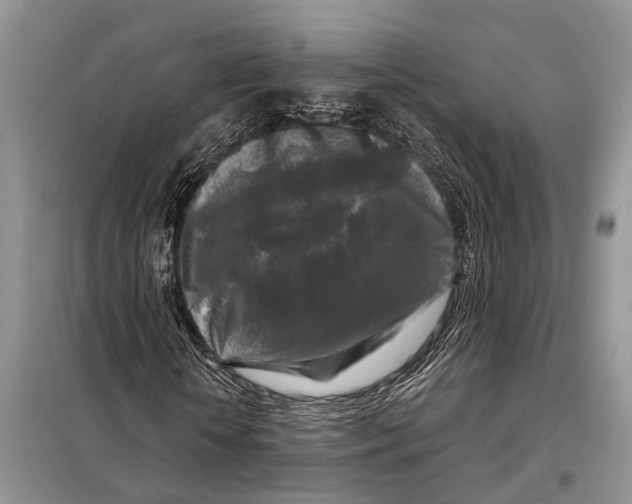 X0000097890818200804111016