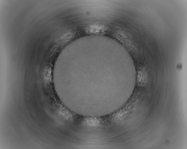 X0000097890820200804111016