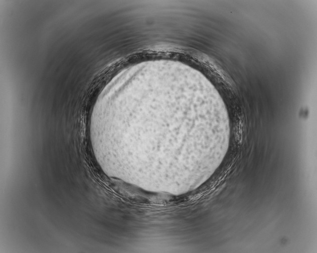 X0000097890821200804111016