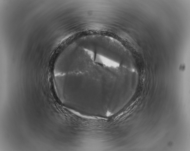 X0000097890822200804111016