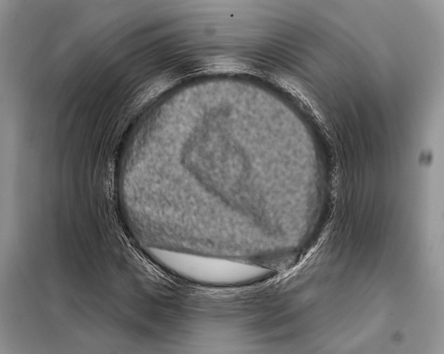 X0000097890825200804111016