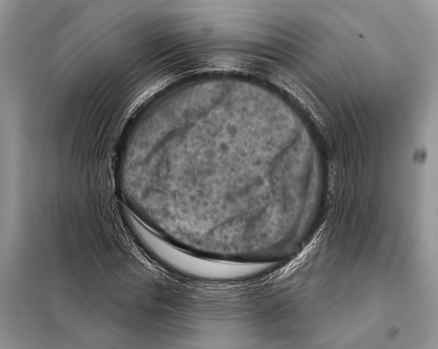 X0000097890826200804111016