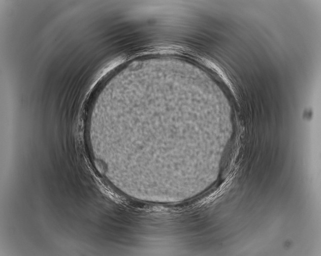 X0000097890827200804111016