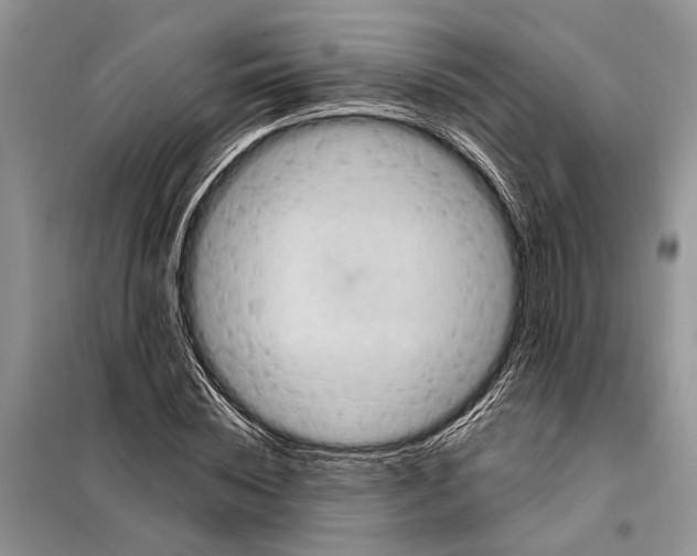 X0000097890828200804111016