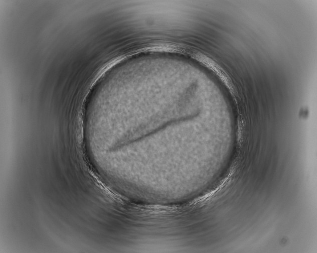 X0000097890829200804111016