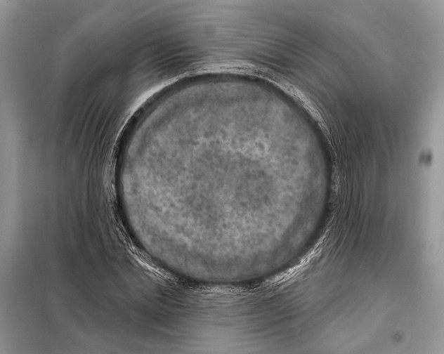 X0000097890830200804111016