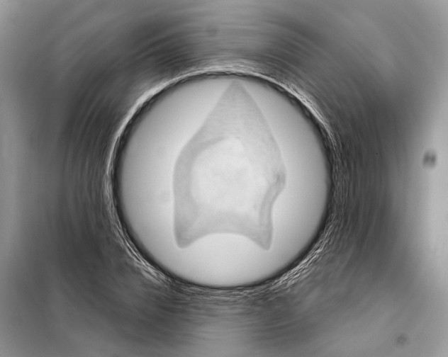 X0000097890832200804111016