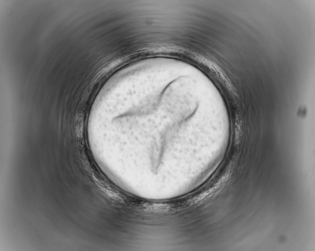 X0000097890833200804111016