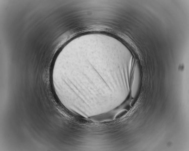 X0000097890834200804111016