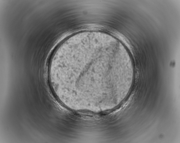 X0000097890835200804111016