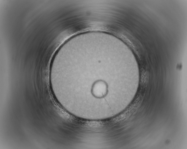 X0000097890836200804111016