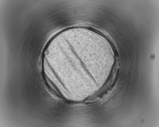 X0000097890838200804111016