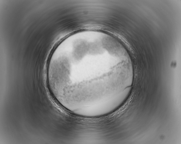 X0000097890840200804111016