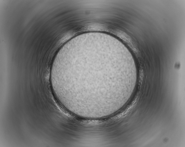 X0000097890841200804111016