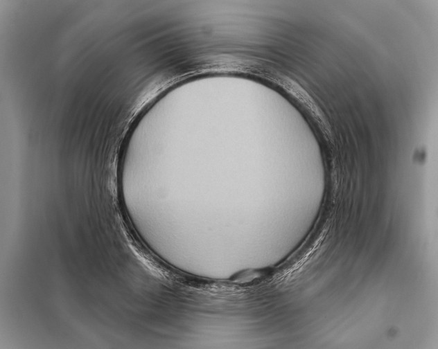 X0000097890842200804111016