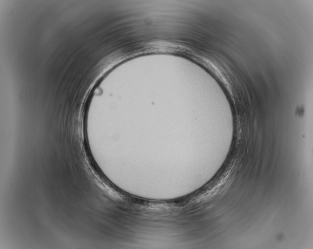 X0000097890843200804111016