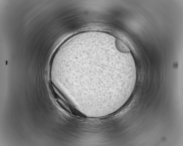 X0000097890844200804111016