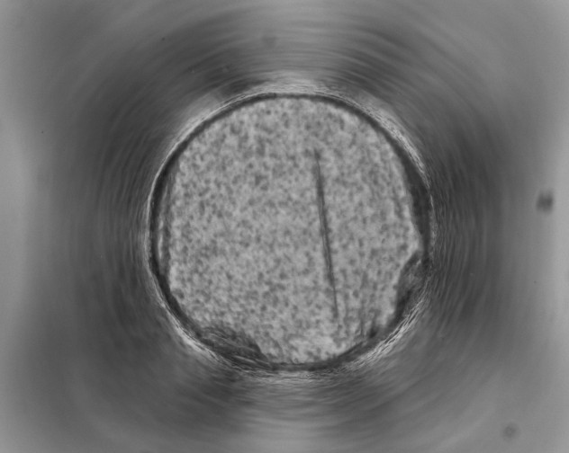 X0000097890845200804111016