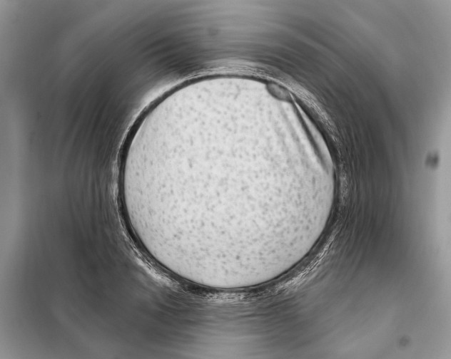 X0000097890846200804111016