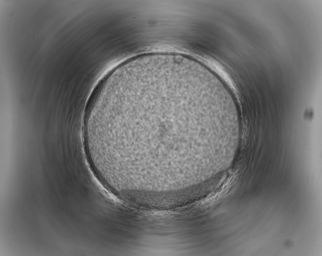 X0000097890847200804111016