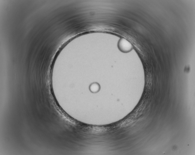 X0000097890848200804111016