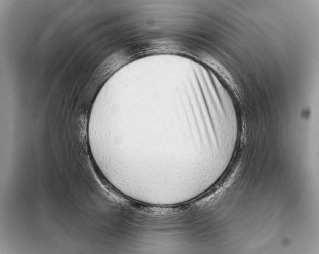 X0000097890849200804111016