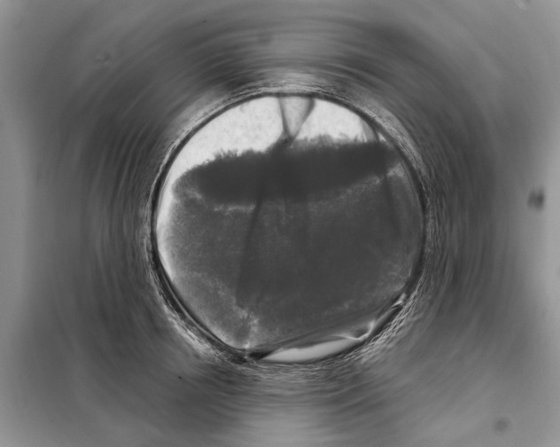 X0000097890850200804111016