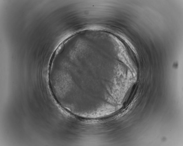 X0000097890853200804111016