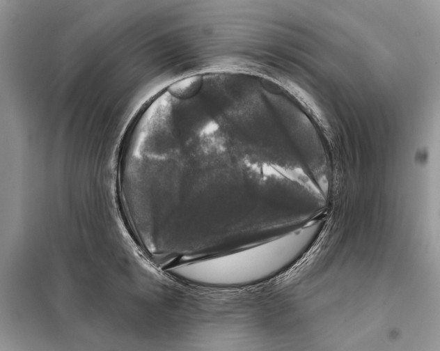 X0000097890854200804111016