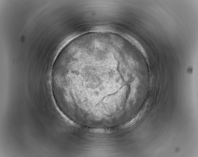 X0000097890855200804111016